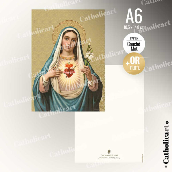 carte sainte vierge marie catholicart