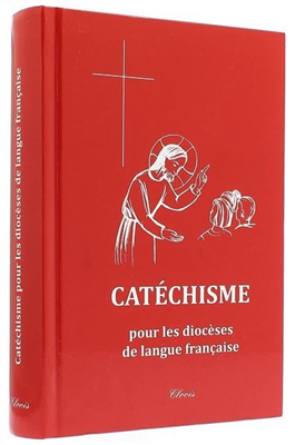 catéchisme diocèse langue française