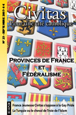 Revue 25: Provinces de France et fédéralisme